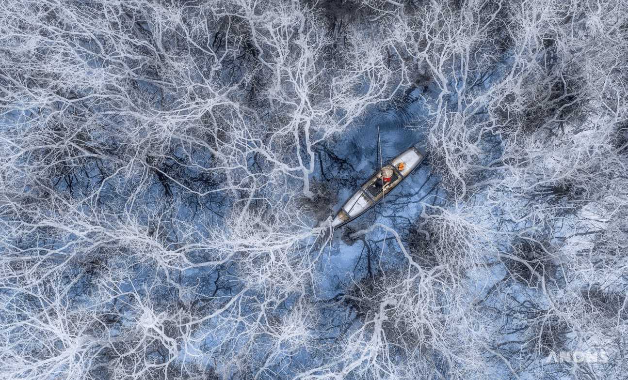 Объявлены победители конкурса аэрофотографии Drone Photo Awards 2021