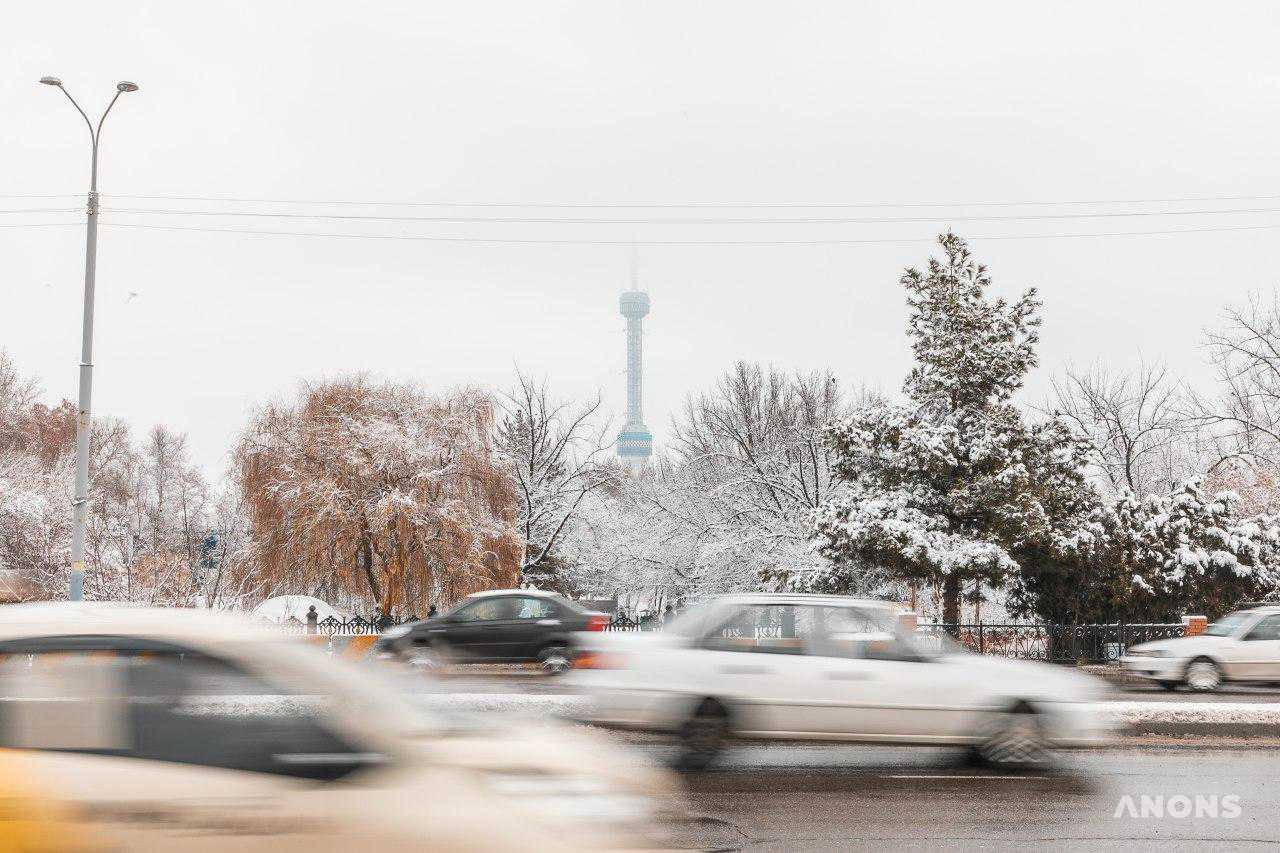 Ташкент замело снегом — фоторепортаж