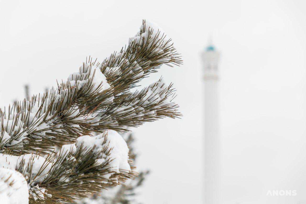 Ташкент замело снегом — фоторепортаж