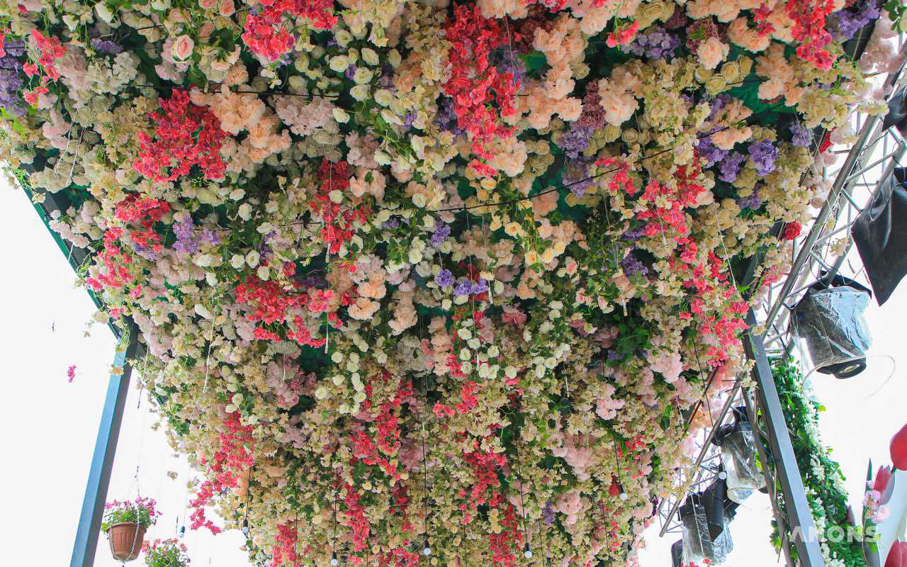 Праздник красоты и эстетики: в Ташкенте стартовал фестиваль цветов Tashkent Flower Fest 2022 – фото