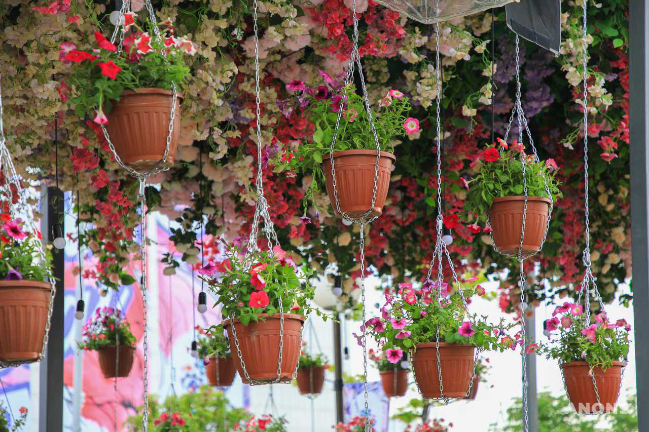 Праздник красоты и эстетики: в Ташкенте стартовал фестиваль цветов Tashkent Flower Fest 2022 – фото