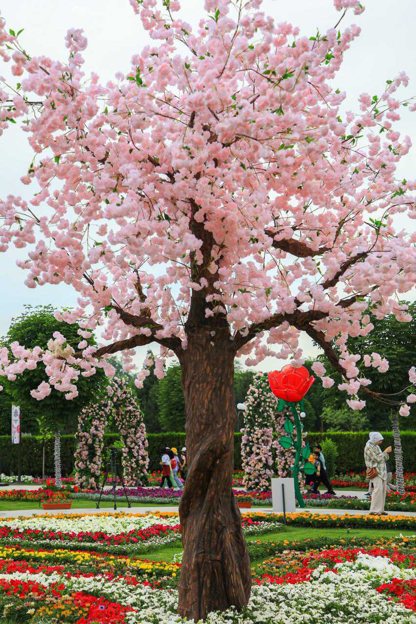 Праздник красоты и эстетики: в Ташкенте стартовал фестиваль цветов Tashkent Flower Fest 2022 – фото