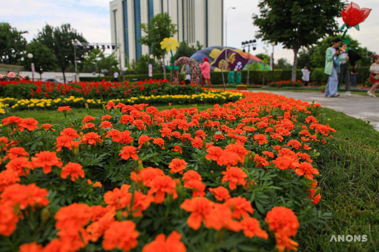 Праздник красоты и эстетики: в Ташкенте стартовал фестиваль цветов Tashkent Flower Fest 2022 – фото