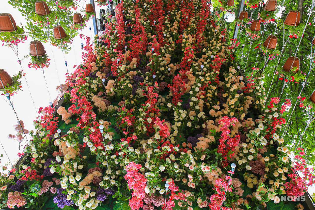 Праздник красоты и эстетики: в Ташкенте стартовал фестиваль цветов Tashkent Flower Fest 2022 – фото