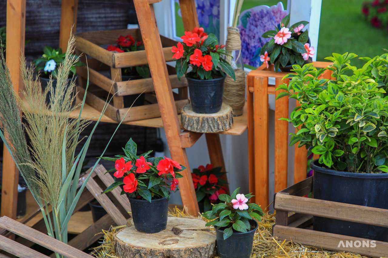 Праздник красоты и эстетики: в Ташкенте стартовал фестиваль цветов Tashkent Flower Fest 2022 – фото
