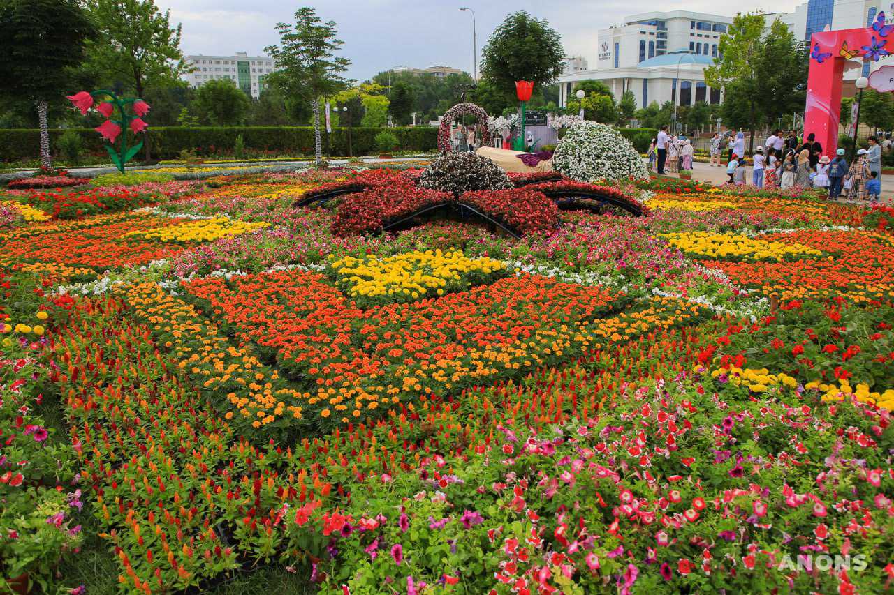 Праздник красоты и эстетики: в Ташкенте стартовал фестиваль цветов Tashkent Flower Fest 2022 – фото