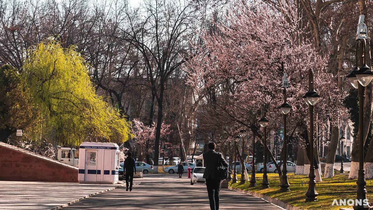 В Ташкенте и других городах 26 марта пройдёт «День без автомобиля»