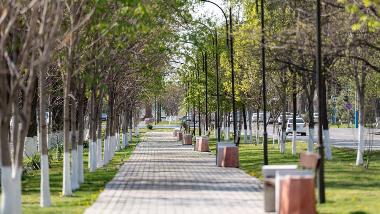 Сегодня в Ташкенте и других городах проходит «День без автомобиля»