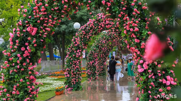 Toshkentda gullar festivali bo‘lib o‘tadi
