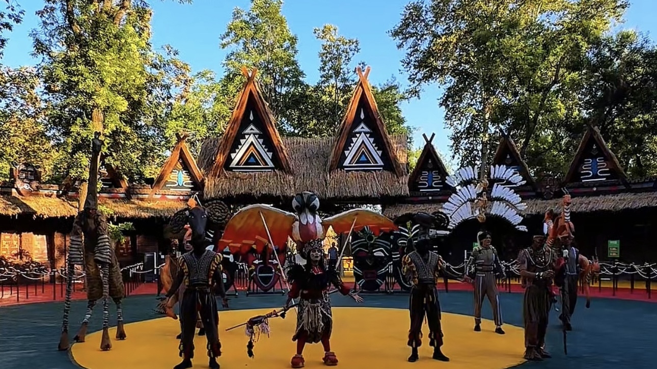 “Magic Safari” bog‘i “Qirol sher” myuzikliga taklif qilmoqda