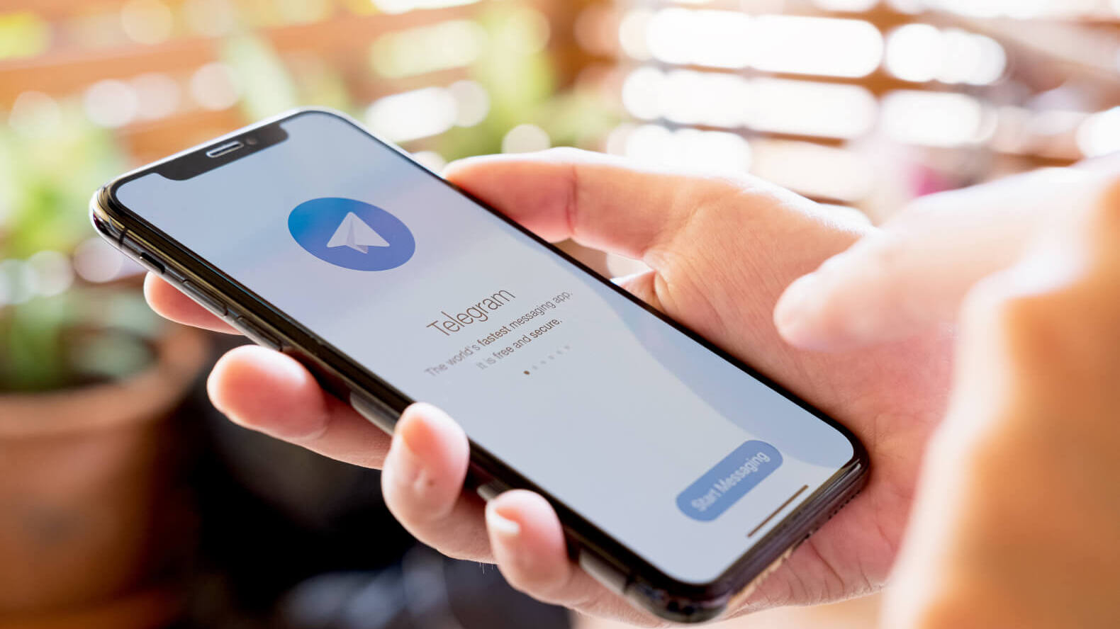 В Telegram появился официальный бот проверки возраста