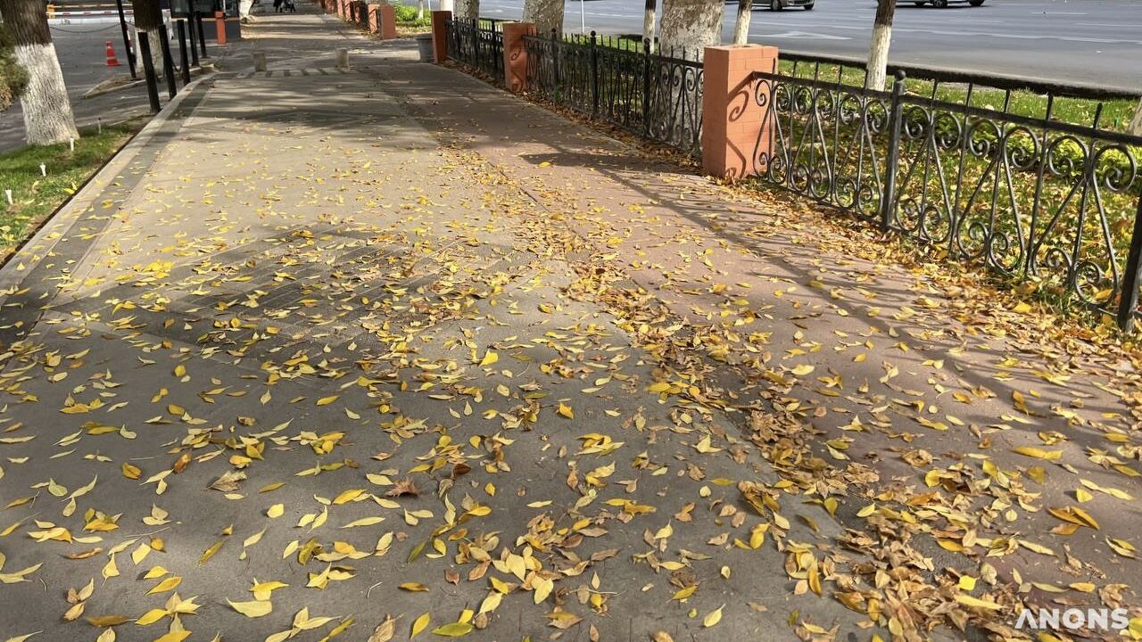 В Узбекистане до конца рабочей недели сохранится тёплая погода