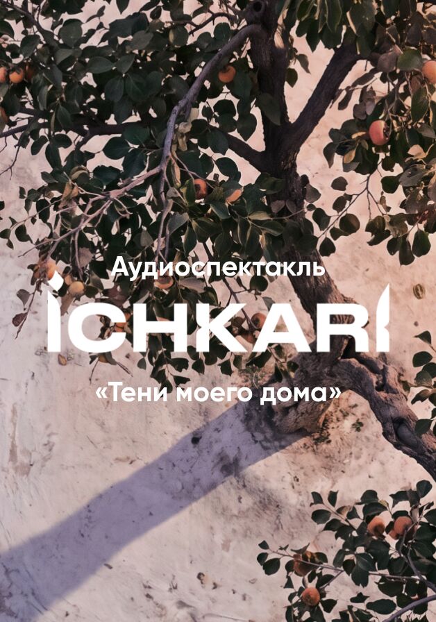 Тени моего дома