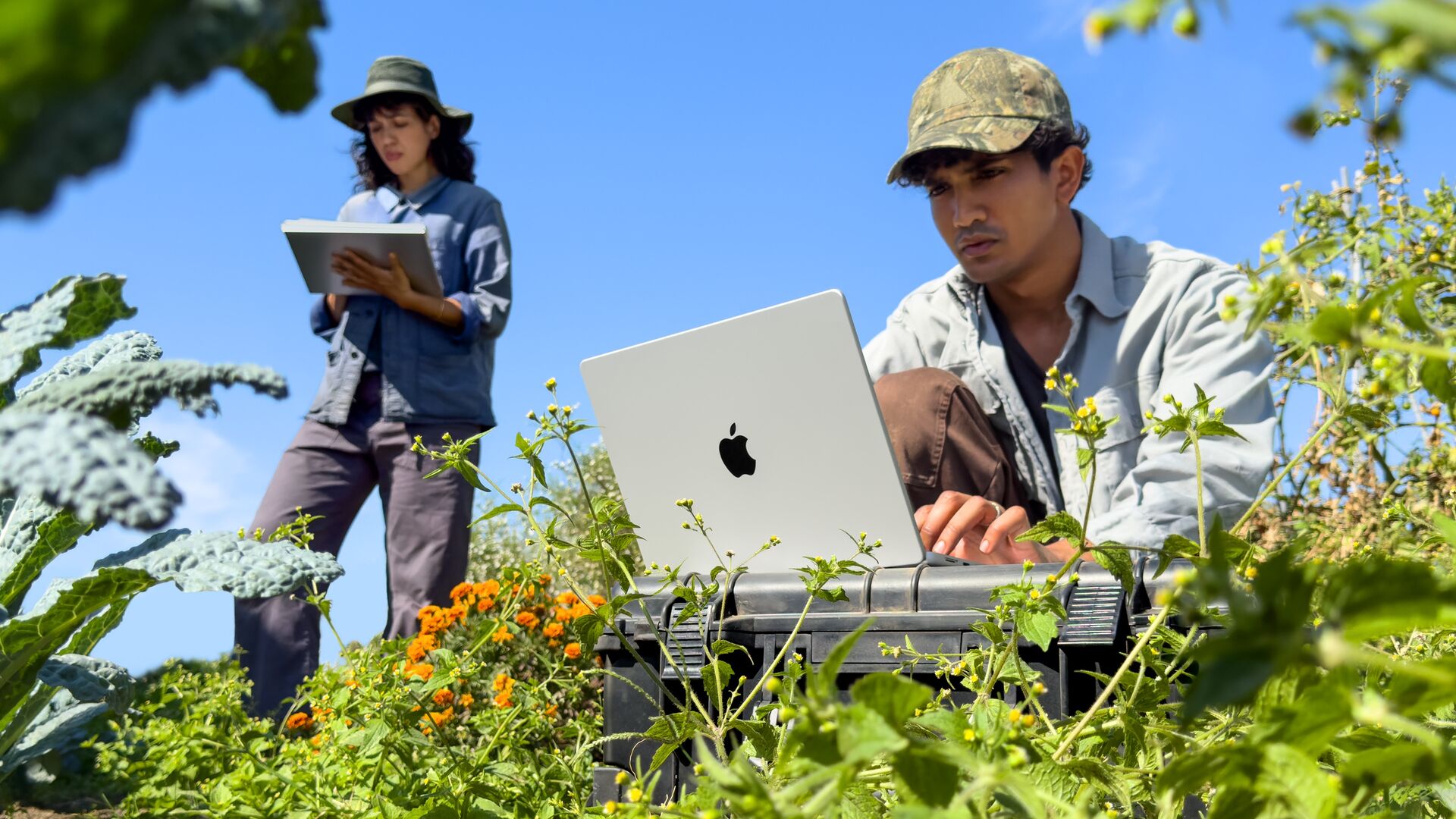 Apple представила новые MacBook Pro и iMac с процессором M6