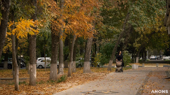 Hafta boshidagi salqin havodan so‘ng O‘zbekistonda havo +25 darajagacha isiydi