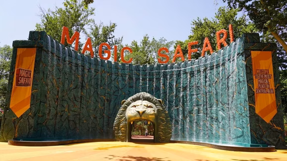 Шоу в Magic Safari