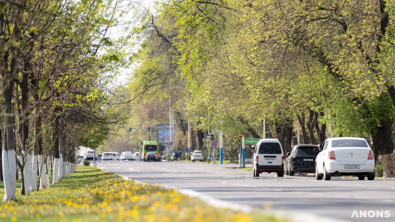 На этой неделе температура воздуха поднимется до +38 градусов