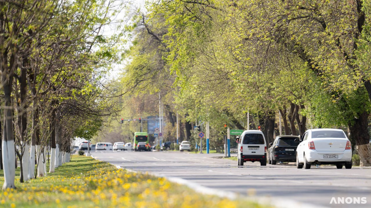 O‘zgidromet: bu hafta havo harorati +38 darajagacha ko‘tariladi
