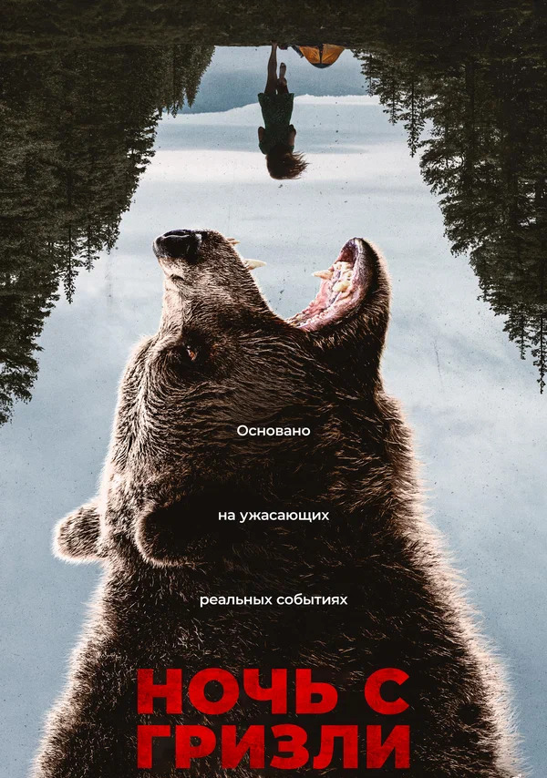 Grizzly Night