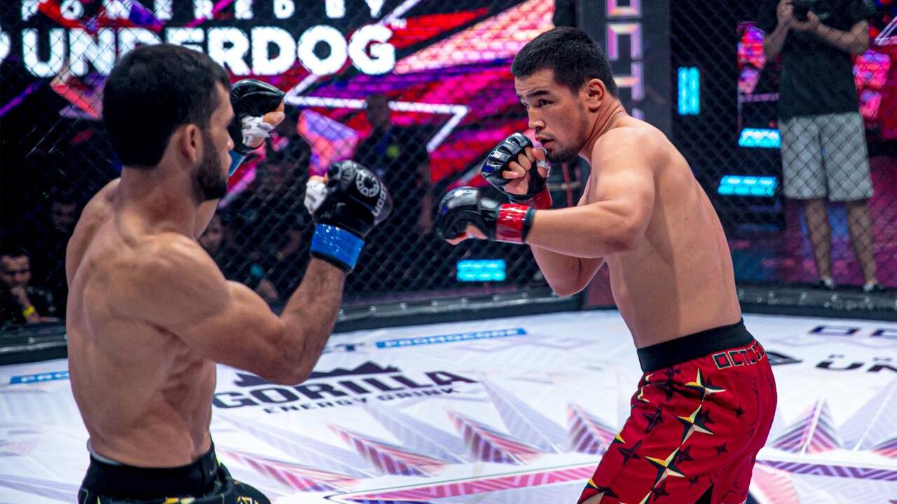 Турнир смешанных единоборств OCTAGON 91