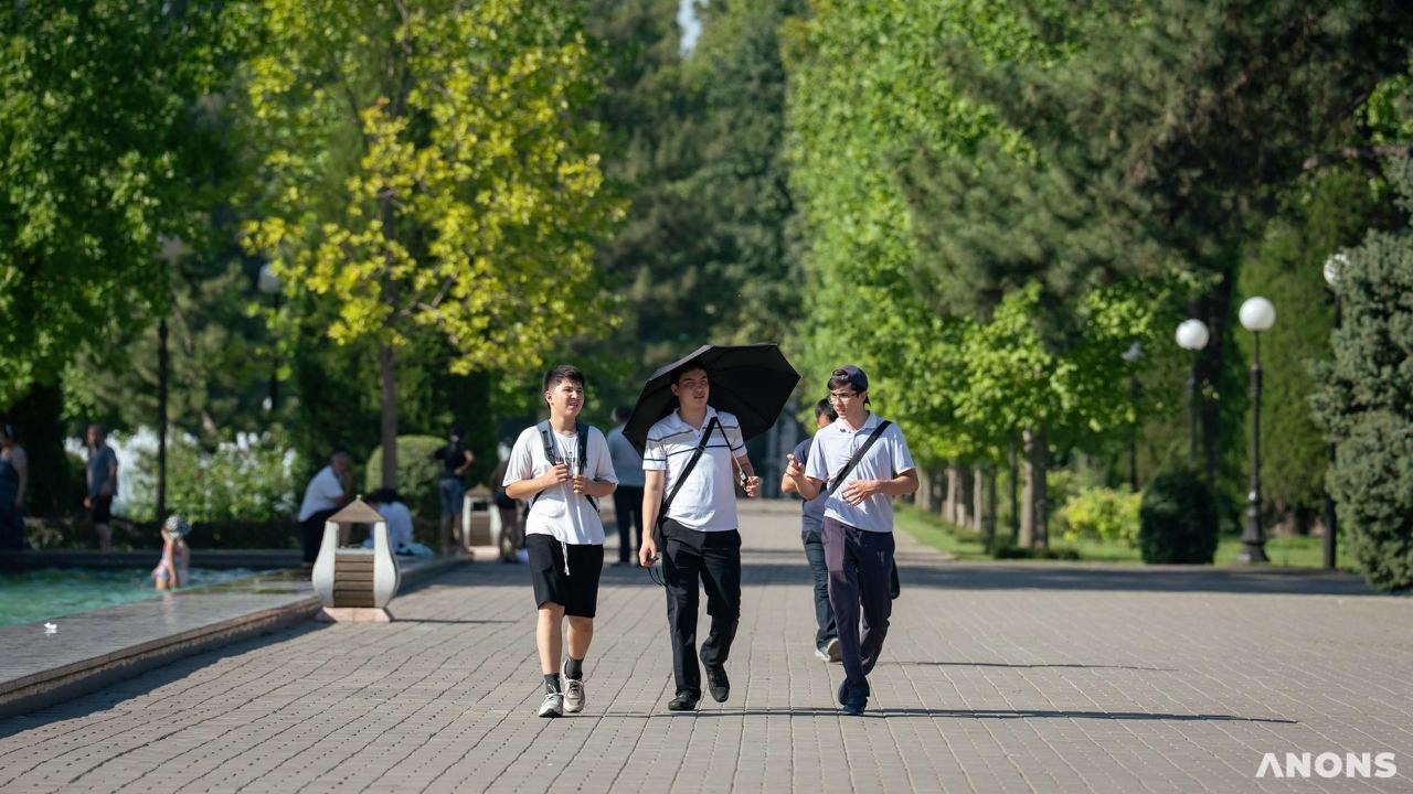 Стали известны даты начала нового учебного года в вузах Узбекистана