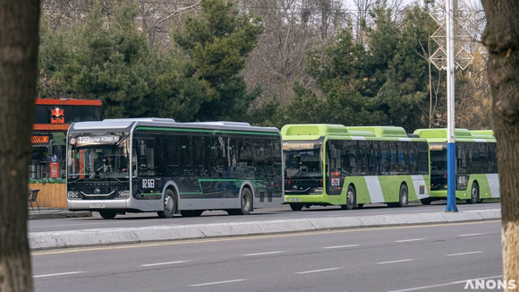 В Ташкенте запустят временный автобусный маршрут до УзГУМЯ