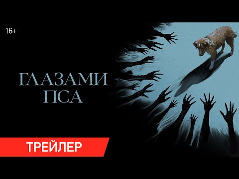 Глазами пса